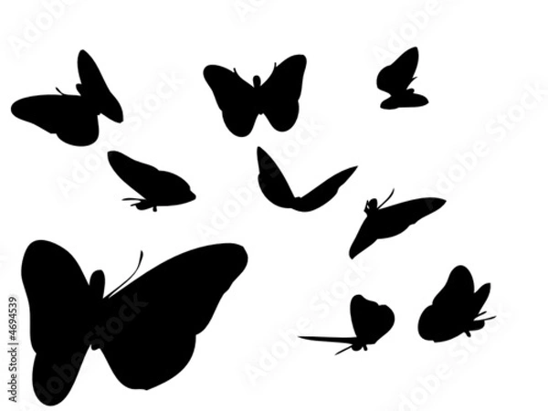 Obraz butterfly shapes