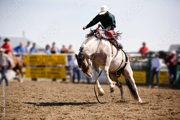 Obraz Saddle Bronc