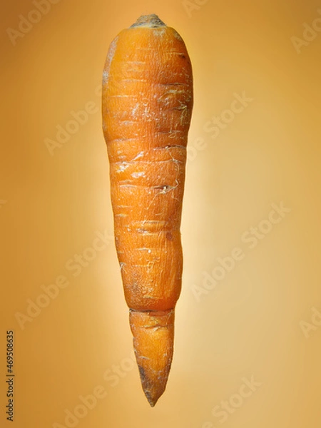 Obraz Floating carrot on orange background