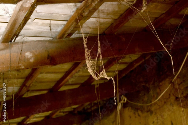 Obraz Old dusty spider web an old dirty attic.