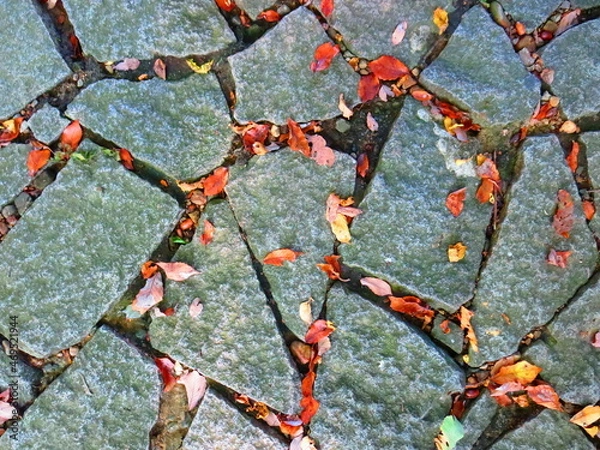 Obraz 壁紙写真ー石畳