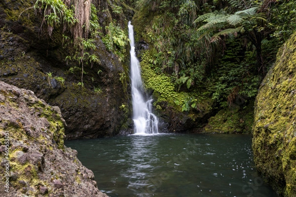 Fototapeta Karamatura Falls in Kauri reservation, New Zealand