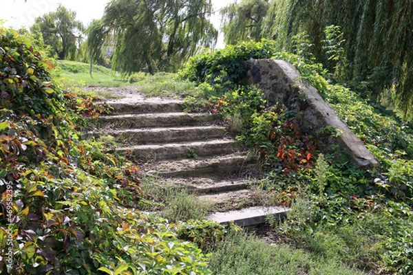 Fototapeta Old stone stairs in Chernobyl. Stairs covered with bushes.