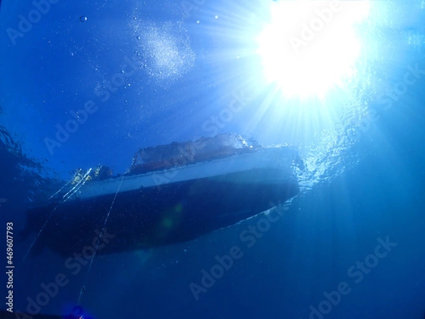 Obraz 石垣島の海底から船底を見上げる
