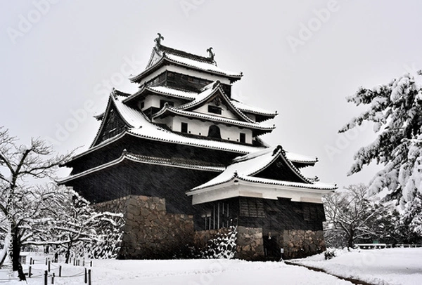 Obraz 雪の松江城