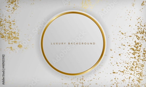 Fototapeta Abstract luxury circle shape design on white background with gold lines and grunge marble texture.