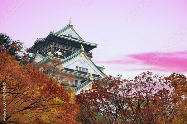Fototapeta Osaka Castle during an autumn evening in Osaka city of Japan.