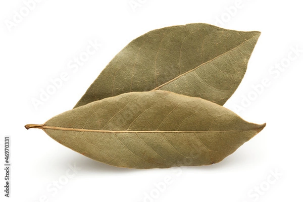 Fototapeta Dried Bay Leaf