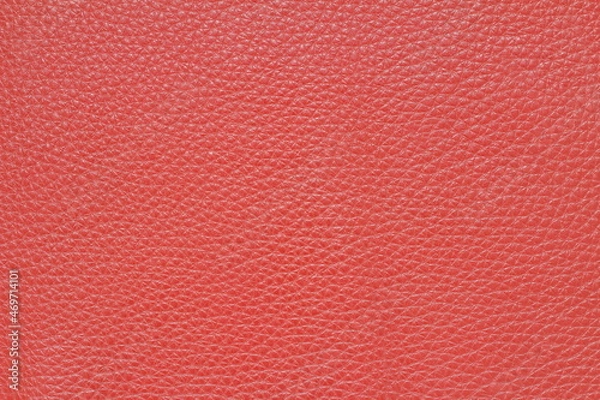 Obraz high-quality skin texture