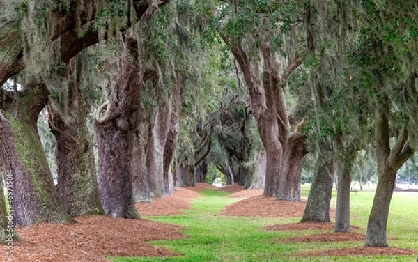 Obraz St Simon Island Georgia
