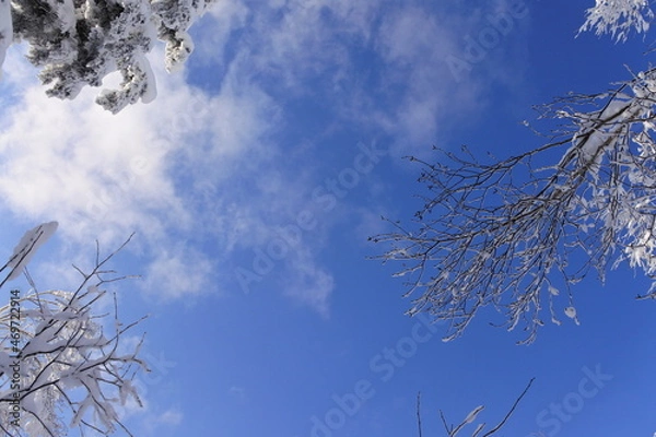 Fototapeta 北海道の旭岳の風景
