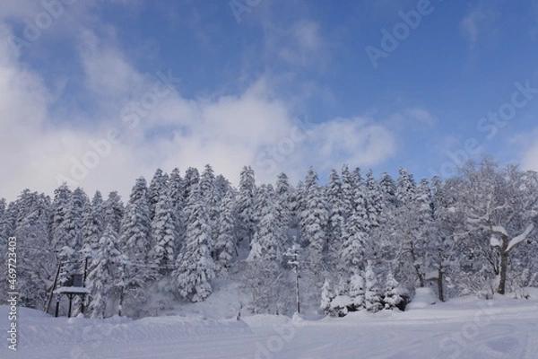 Fototapeta 北海道の旭岳の風景