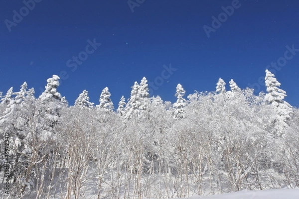 Fototapeta 北海道の旭岳の風景