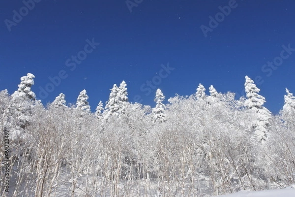 Fototapeta 北海道の旭岳の風景