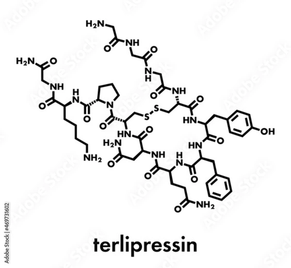 Fototapeta Terlipressin drug molecule. Skeletal formula.