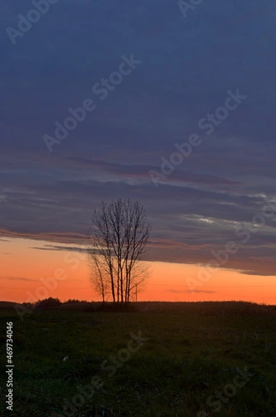 Obraz Fields at dusk in the fall.