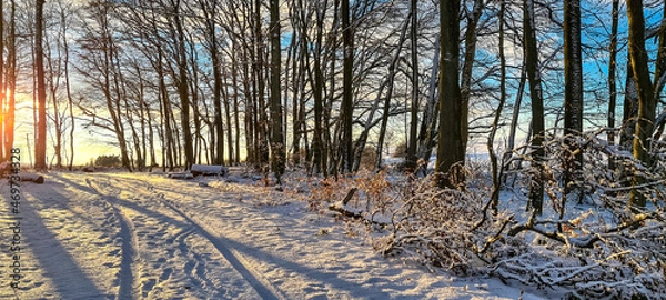 Obraz Herbst und Sonne im Wald
