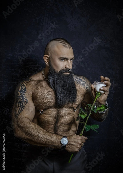 Fototapeta Brutal sexy man with black beard with naked hairy torso holds a rose in his hands