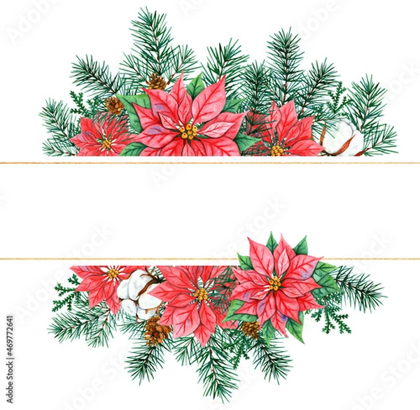 Fototapeta Watercolor Christmas wreath with poinsettia, fir branches and cotton, with place for text. Illustration for greeting cards and invitations isolated on white background.