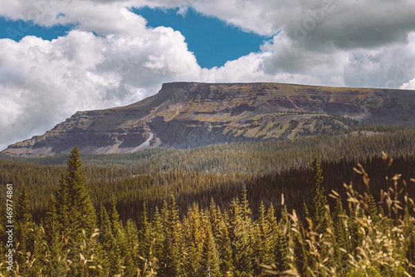 Fototapeta backcountry