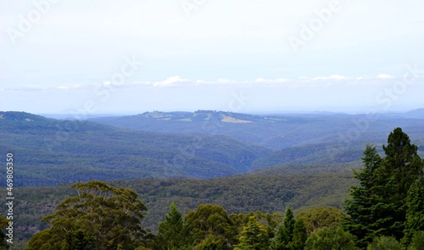 Obraz landscape with fog