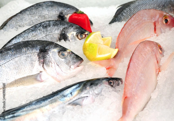 Obraz Fresh fish