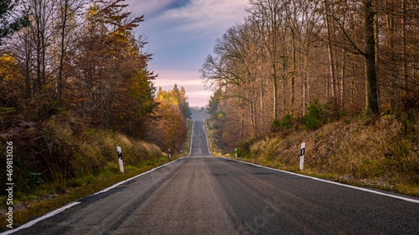 Obraz Straße durch den Pfälzer Wald