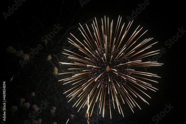 Fototapeta Pink, Yellow and Orange Fireworks Shot with a Long Exposure with dark black sky background. Fancy and Fantastic Firework at Night.