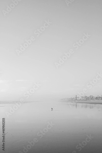 Fototapeta Lone Bird on an empty beach