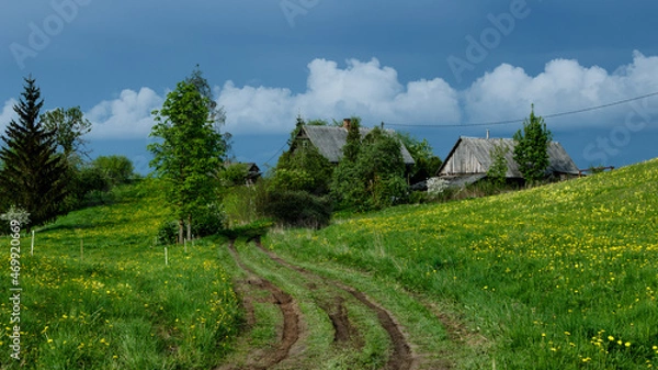 Obraz Landscape in the summer.