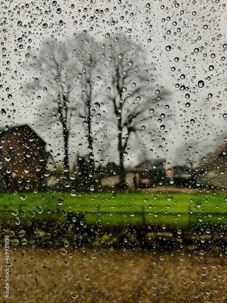 Obraz rain in the park