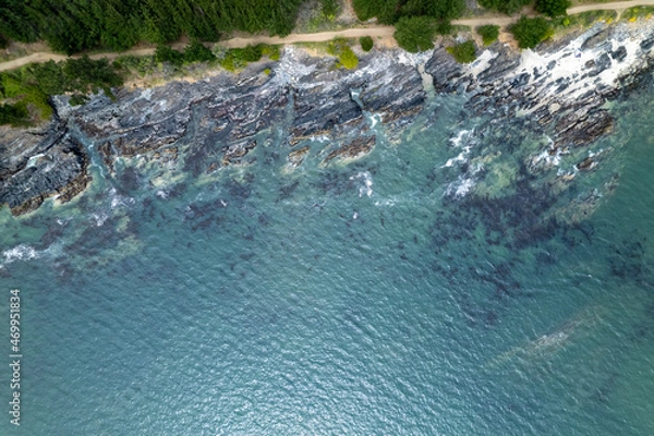 Obraz Punta de Parra Beach