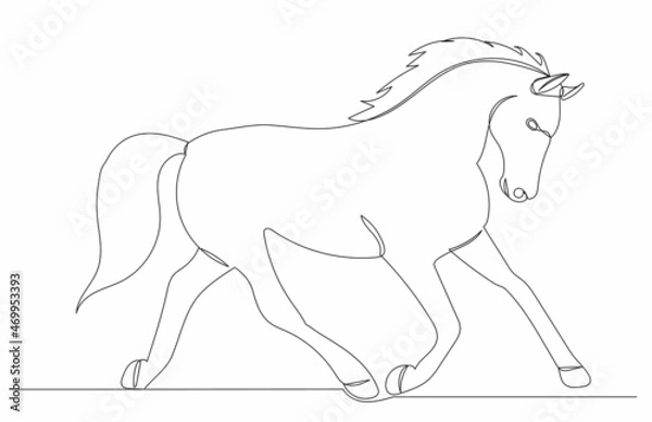 Fototapeta horse runs one line drawing  on white background