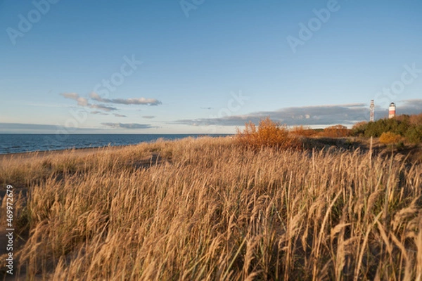 Obraz Seashore panoramic view in Narva Joesuu