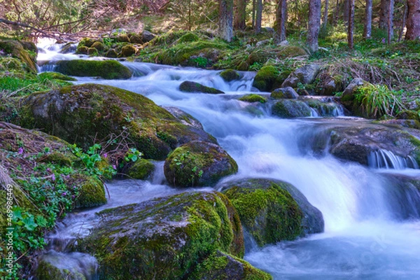 Fototapeta Stream in the Tatras