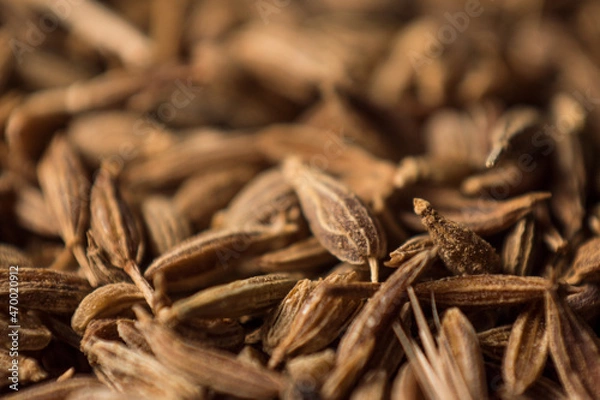 Fototapeta Macro of some little cumin seeds in a grain storage 