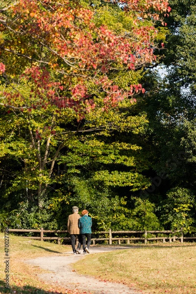 Fototapeta 秋の公園で散歩しているシニア夫婦