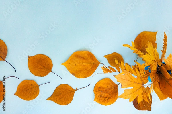 Obraz Flatlay text frame autumn background with a bouquet of yellow dry acacia and maple leaves. Top view