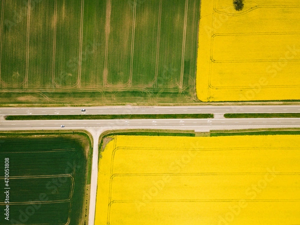 Fototapeta Aerial view of yellow rapeseed and green wheat crop fields with some roads and highway around. Colorful bird view. Agriculture of Europe. 