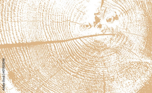 Obraz circular wood grain texture vector illustration background