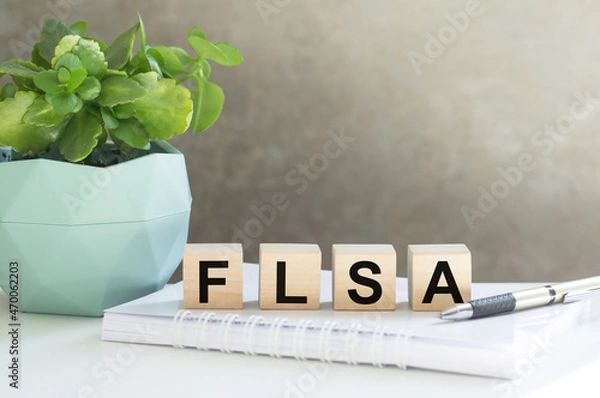 Fototapeta FLSA, text on wood cubes on light background, business concept