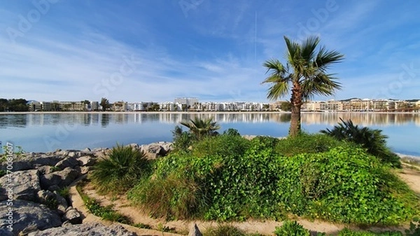 Obraz beach with palms