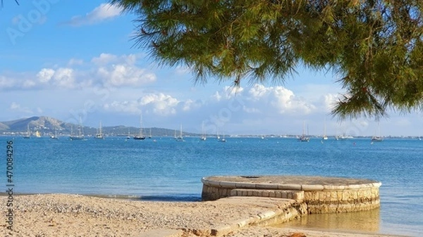 Obraz beach with trees