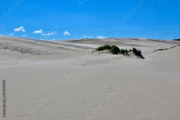 Obraz denmark, Wanderdüne, rabjerg mile