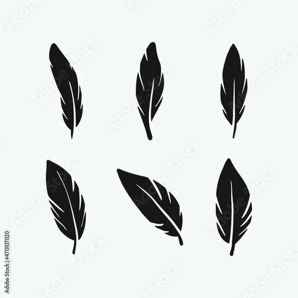 Fototapeta Set bird feather drawing. Feather hand drawn vector illustration.
