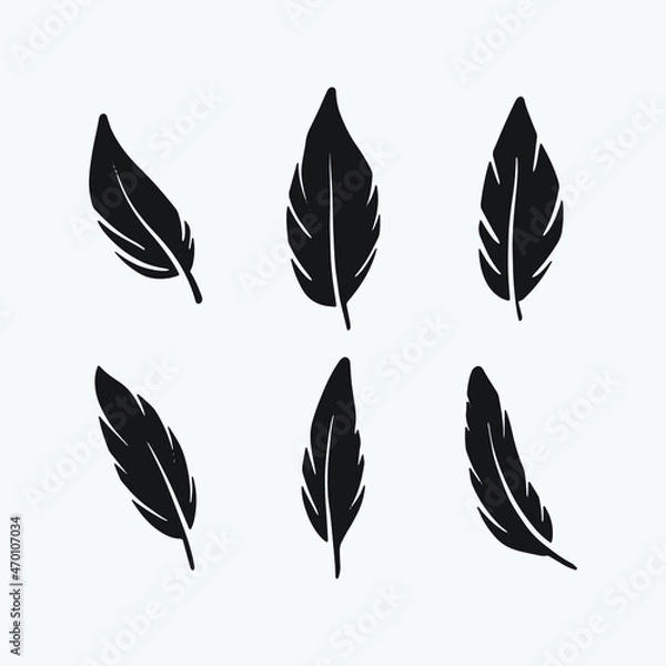 Fototapeta Set bird feather drawing. Feather hand drawn vector illustration.