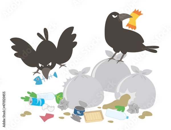 Fototapeta ゴミを荒らすカラス
