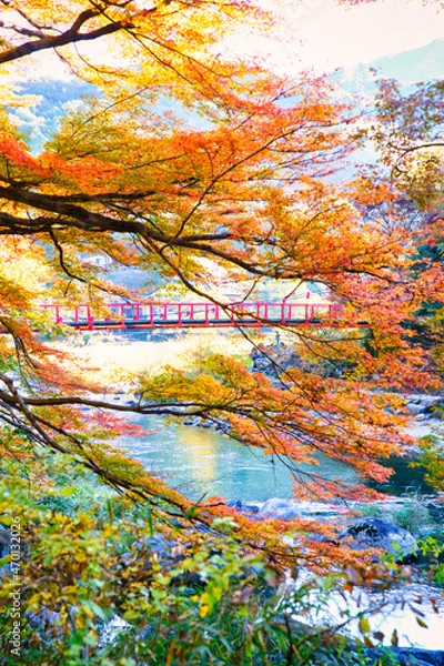 Obraz 秋の香嵐渓