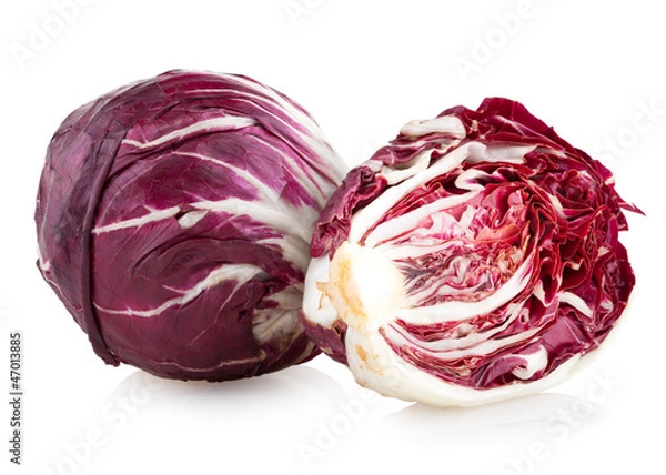 Obraz Czerwona kapusta Radicchio izolowana na białym