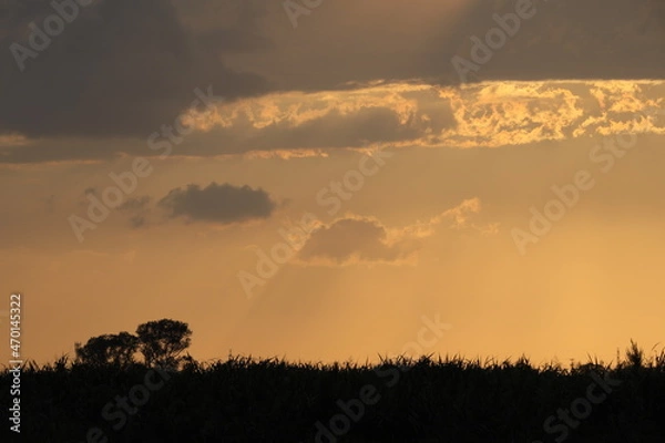 Obraz 草原の夕暮れ